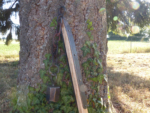 Fléau a lingot octogonal - 