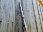 Archegaie - 