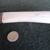 Fragment (2)