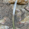 P1010635