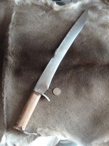 Petite falcata - 