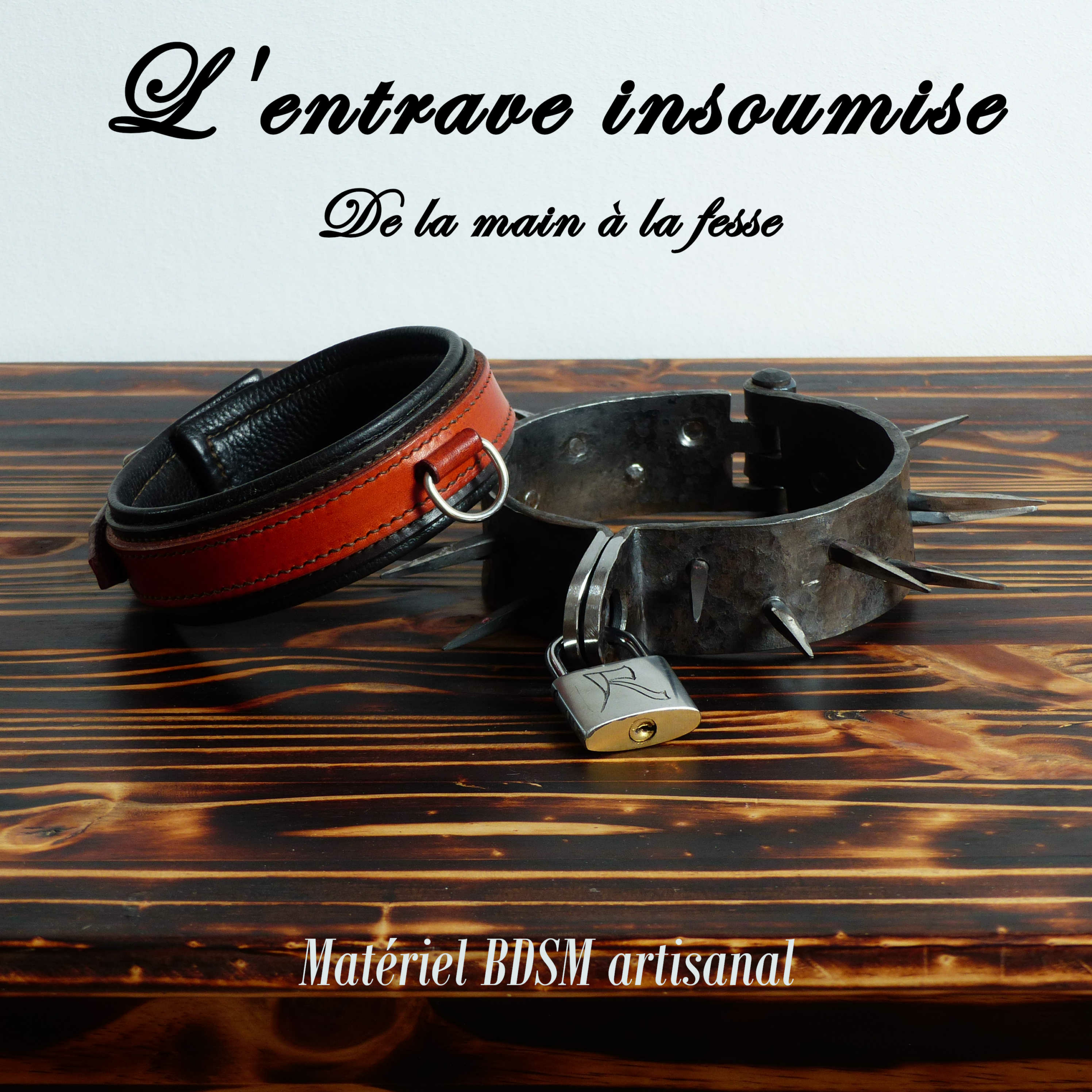 L’entrave insoumise